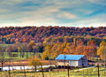 When the trees their summer splendor change from green to gold