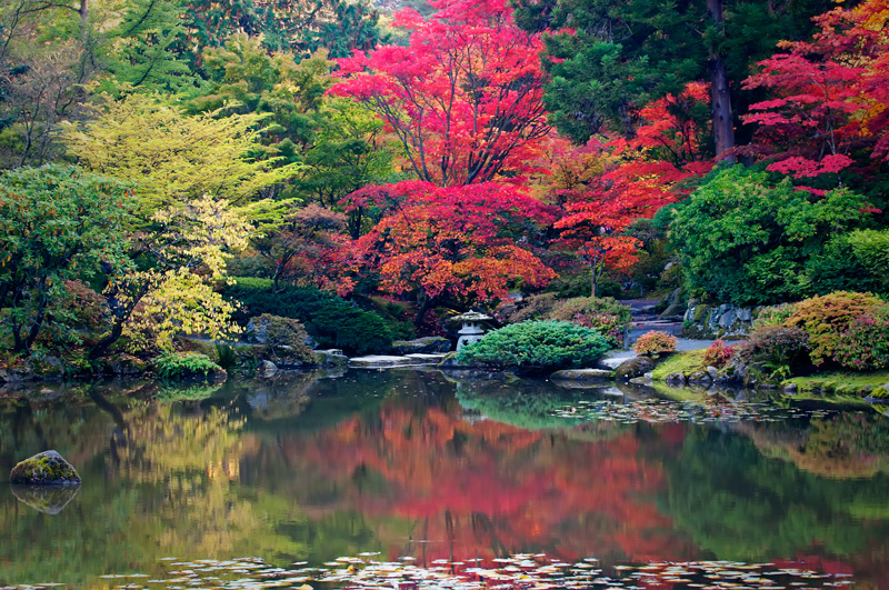 The Pond