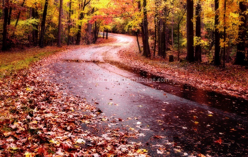 Autumn Rain