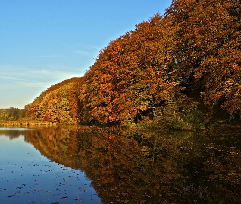 Autumn impression