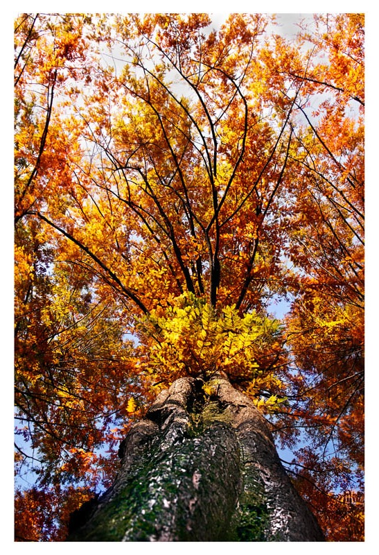 at Nami Island
