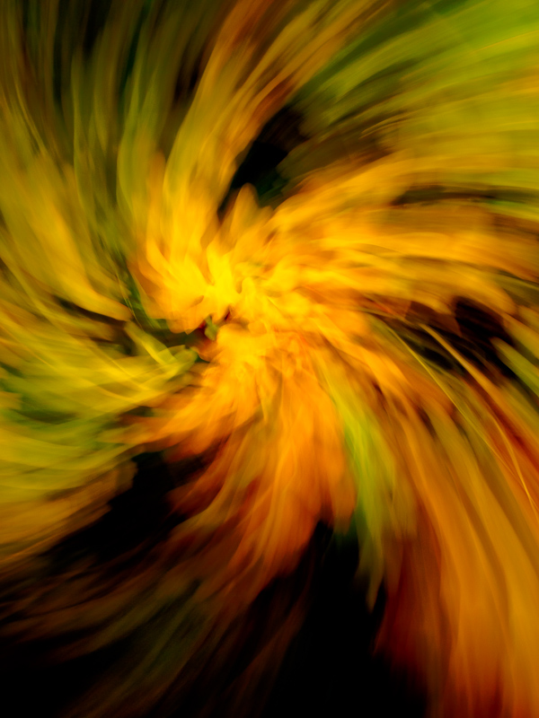 Autumn Oak Pinwheel