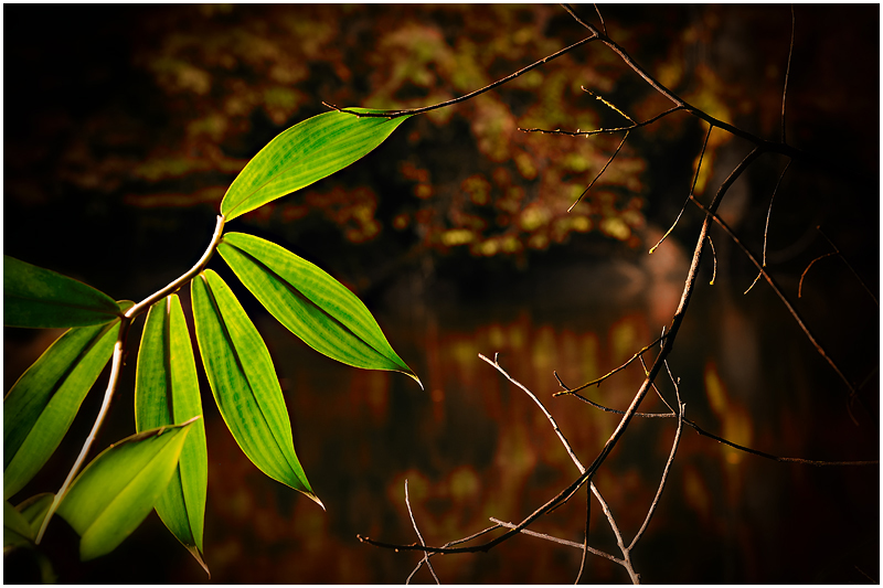 A Touch of Hope