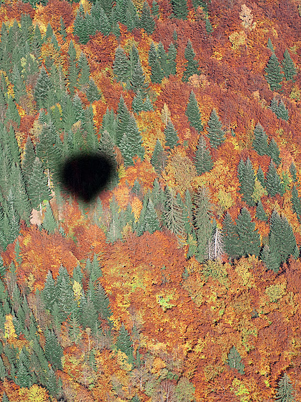 Hot Air Ballon