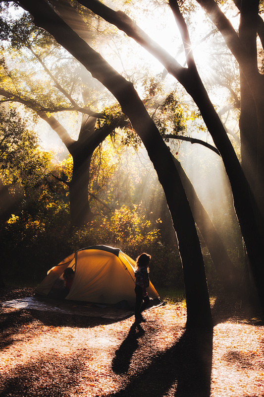 Ortega Oaks, Santa Ana Mountains