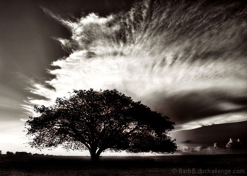 Framed by Nature