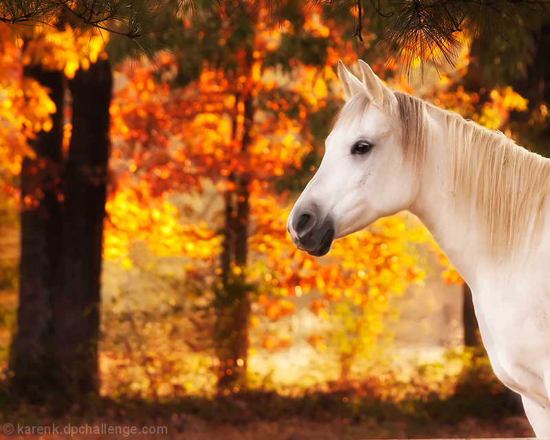 Afire