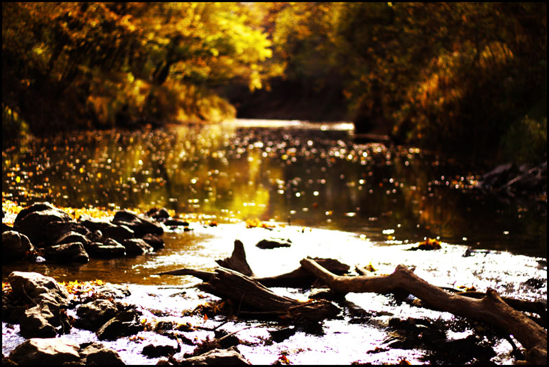 Fall Stream