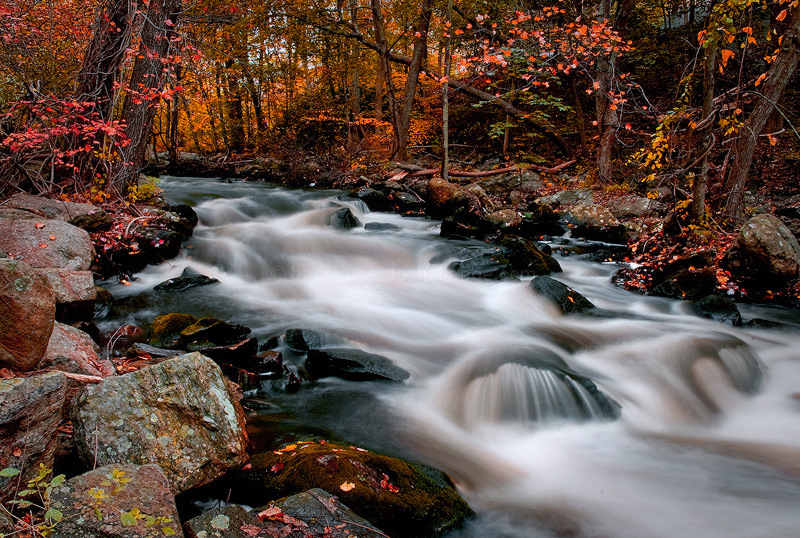 A River Runs Through It