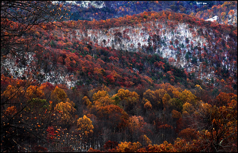 Autumn in the Foothills