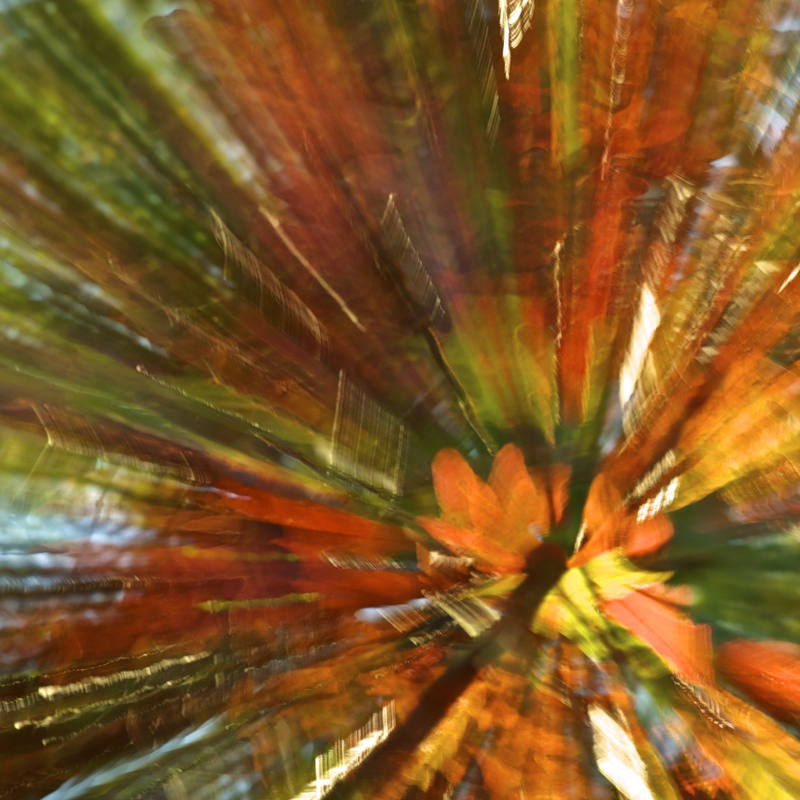 Fall Explodes