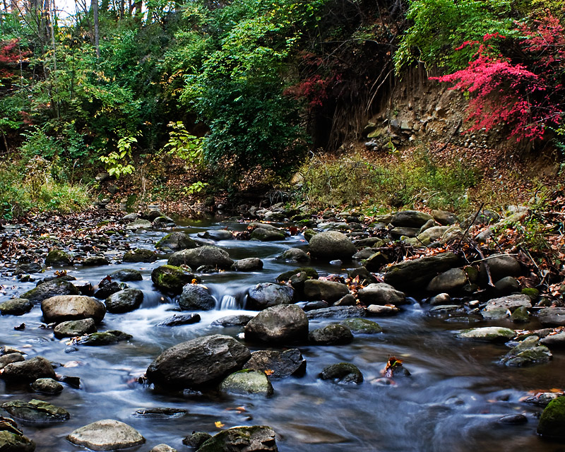 Creekside