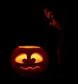 Don't be afraid little pumpkin