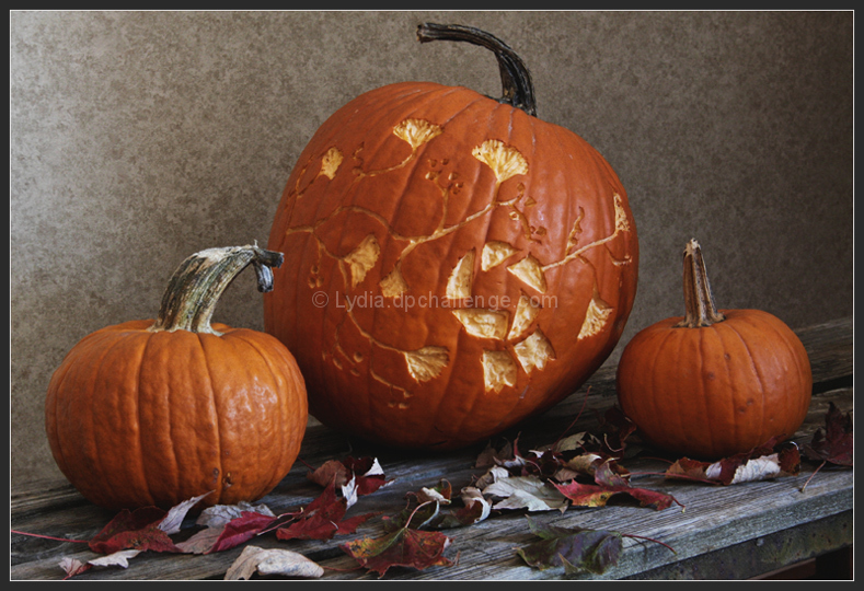 Autumn's Natural Ribbon 
