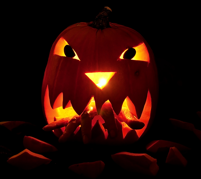 the hand that carved the pumpkin