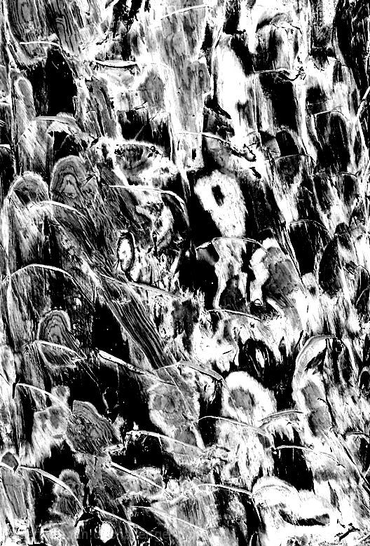 Nothing there is motionless- Nothing save the airs that brood Over the magic solitude.