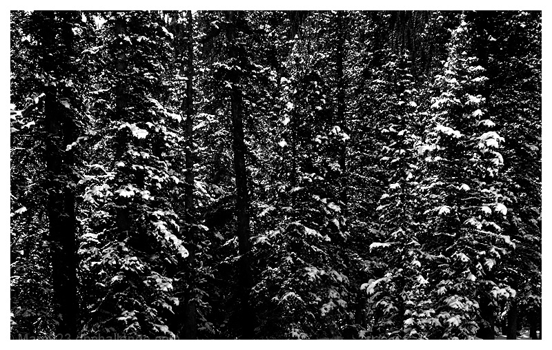 Merely this and nothing more.