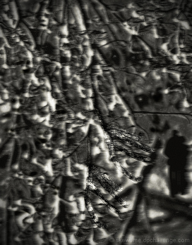 "The love of years is wasted like the snow" -The Forest Reverie