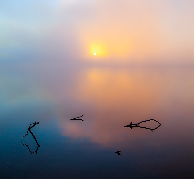 Where the Earth Meets the Sky