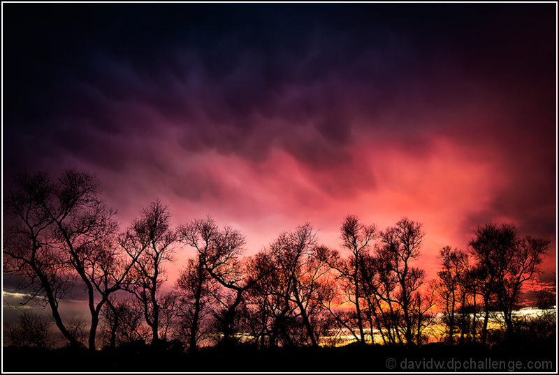 November Sky