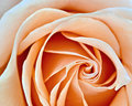 Graceful Lines