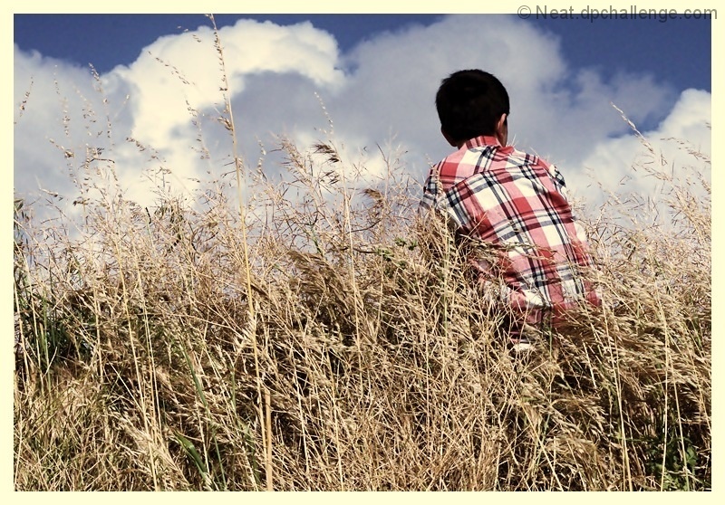 Head in the clouds
