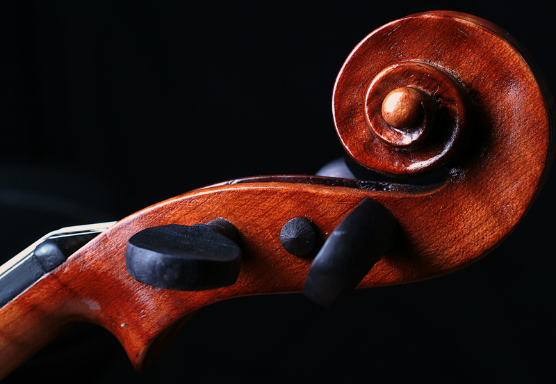 violin head