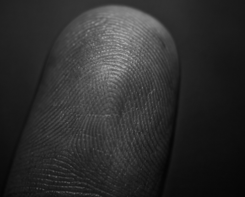 Golden Ratio - Finger Prints