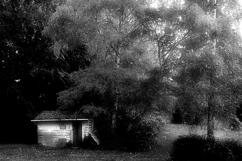 Wood Shed