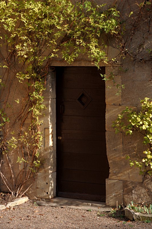 Ivy framed door