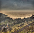 At the lake of fog