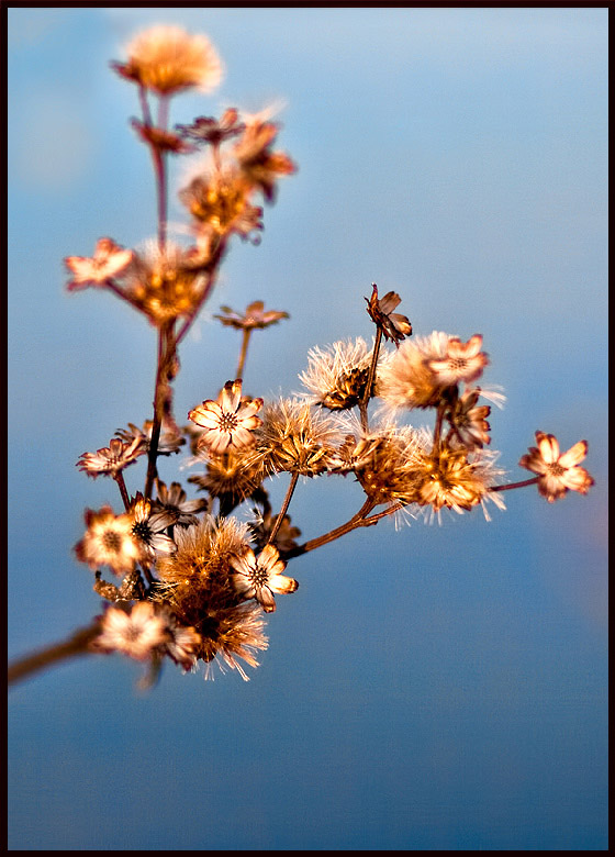 by the lake