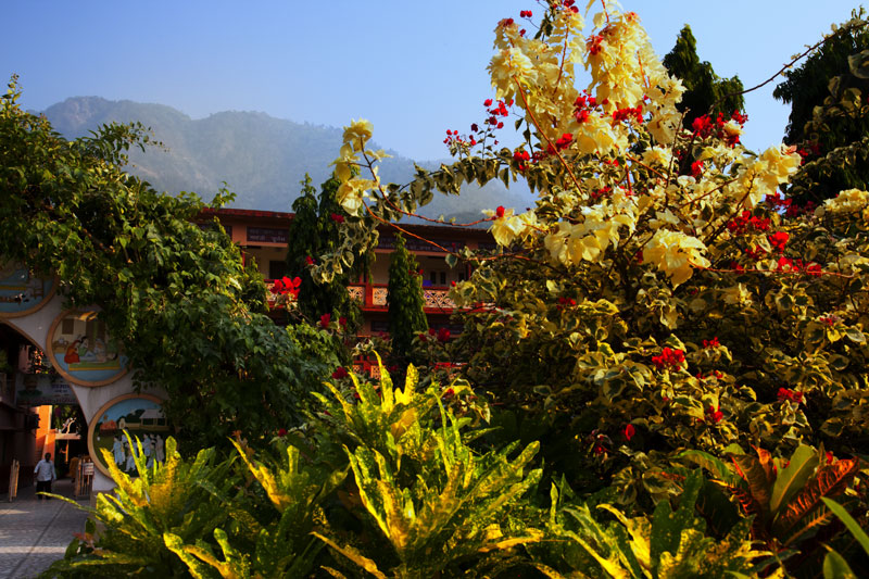 Rishikesh ashram