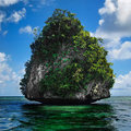 The trees of "no name" Island
