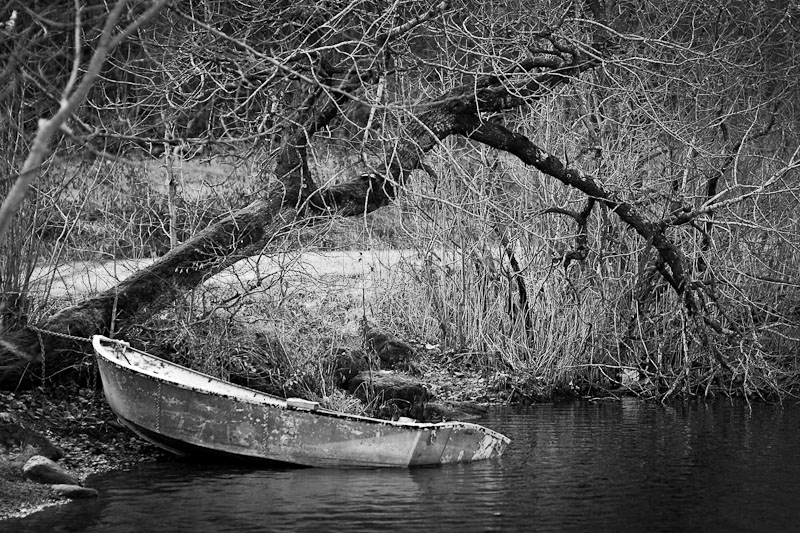 Forgotten by the water