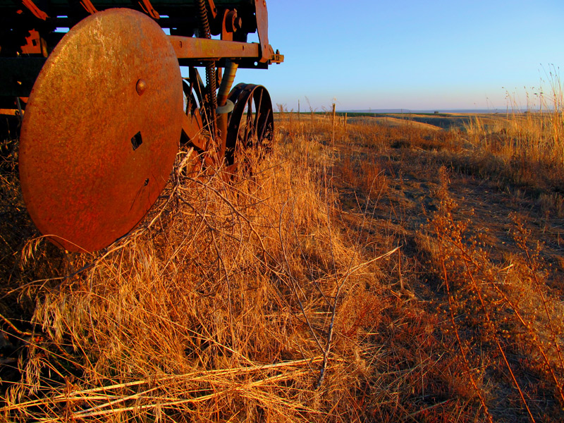 Seeder