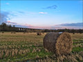 Field near Linlithgow