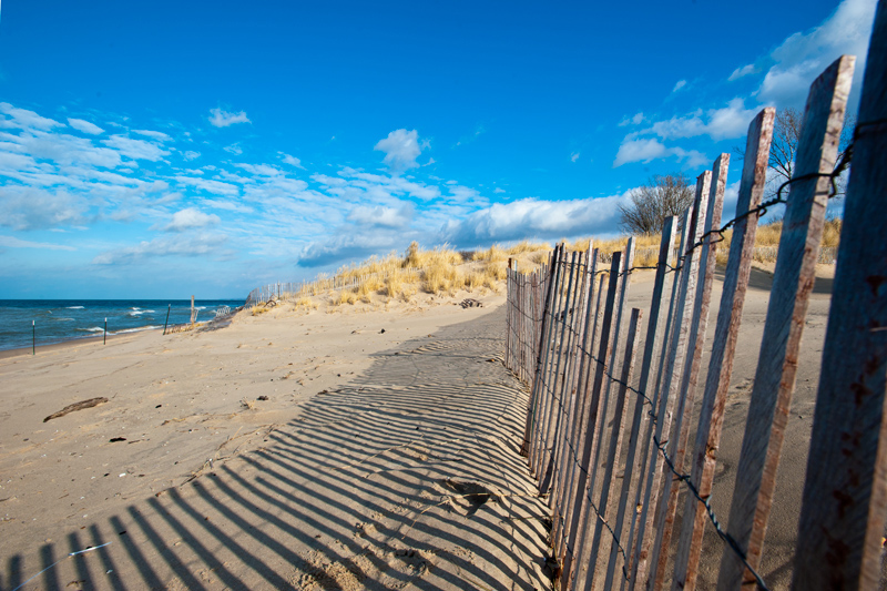 Winter Beach Scene
