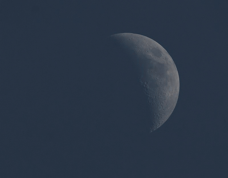Midday Moon