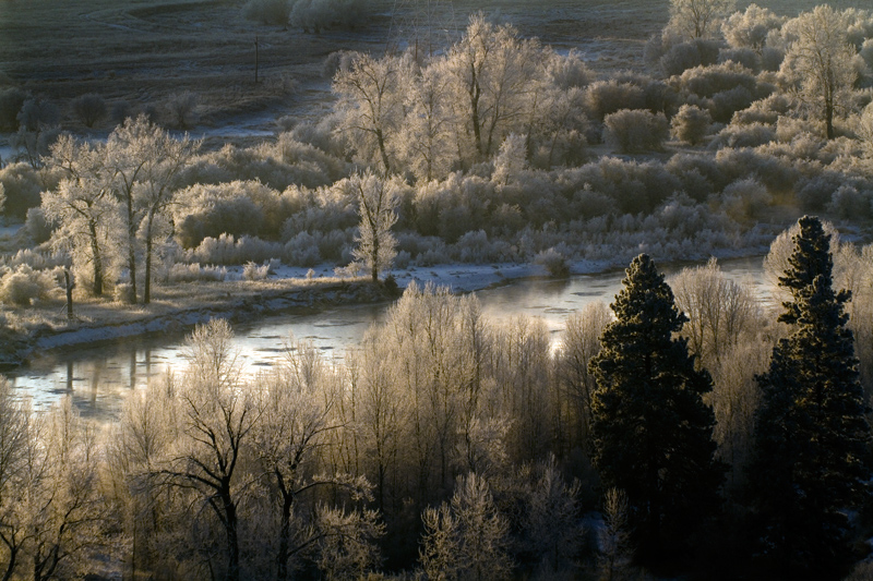 Bitterroot Sunrise