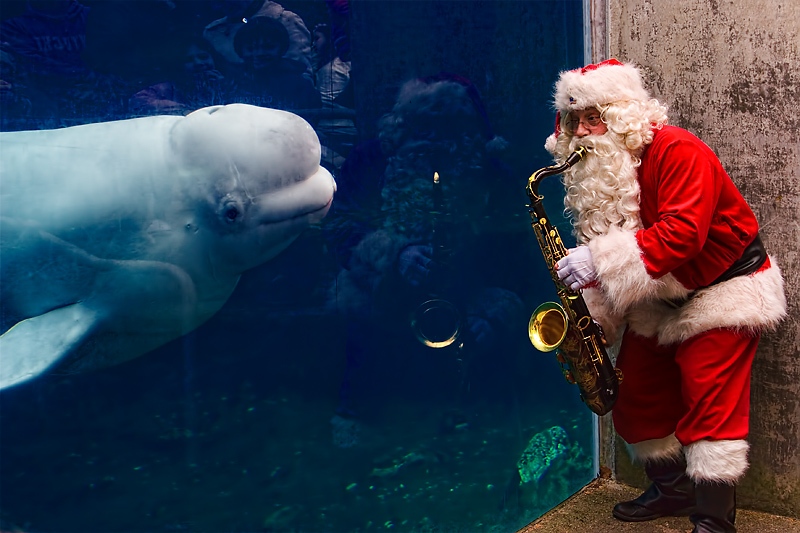 Santa Serenade