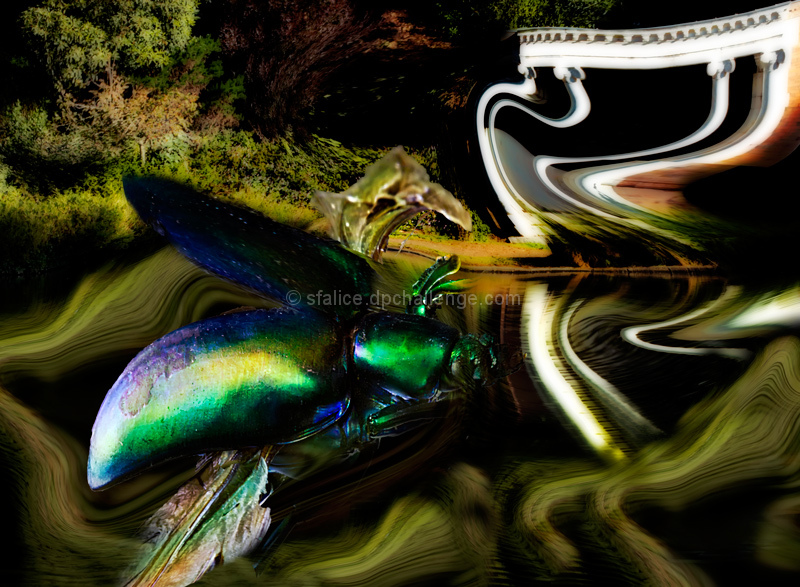 Transitional Moment