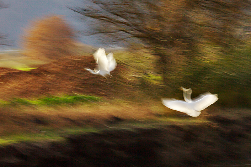 by the river bank
