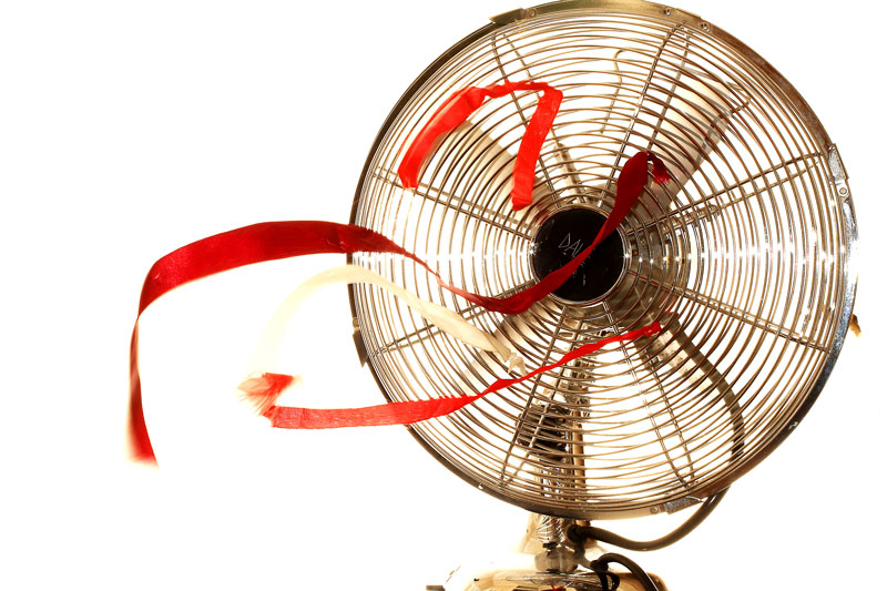 fan