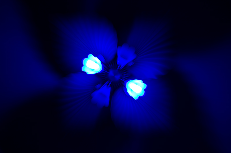 Blue Blur