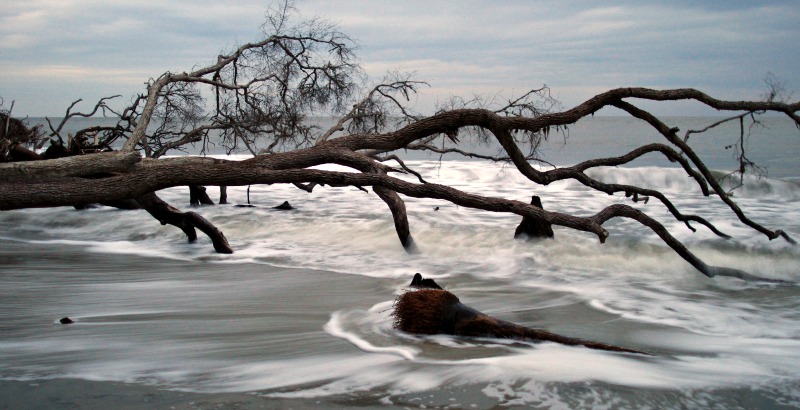 Hunting Island beach Beaufort SC