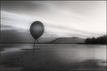 Solitude Surrender