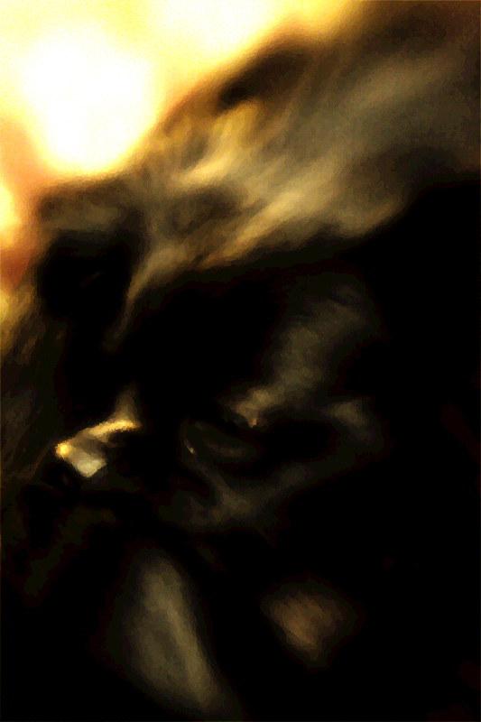 Black Dog