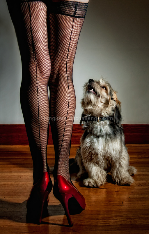 Seams and Stilettos