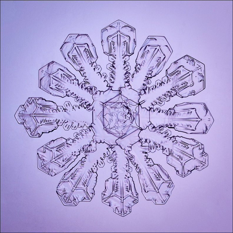 A Single Snowflake - the basis of everyone's favourite holiday decoration